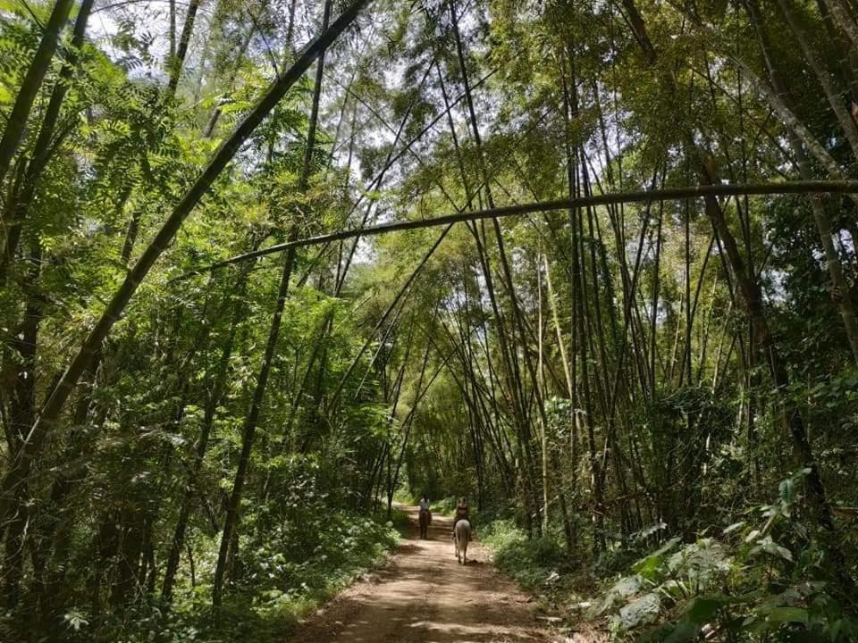 Hotel Sumpa Montañita 外观 照片